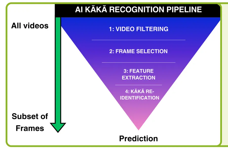 From all footage to a prediction: filter, select frames, extract features, re-identify